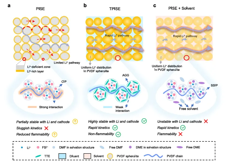 Tsinghua University’s Kang Feiyu Team Reports in Nature Communications