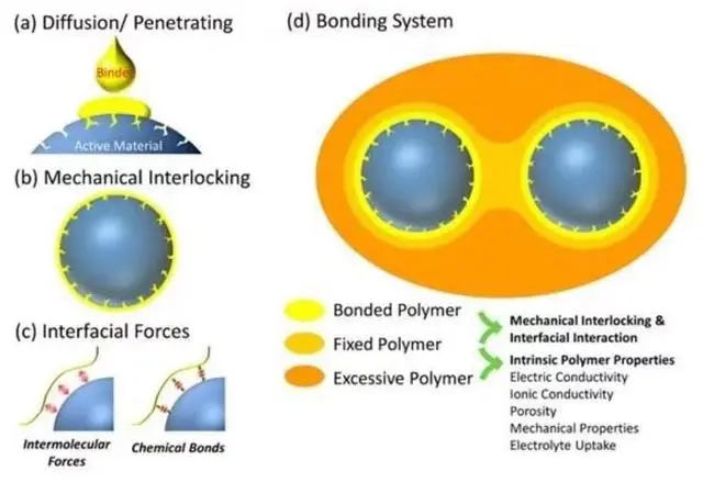 Presentation of Wanhua Chemical: Comprehensive Solutions for Lithium Battery Anode Binders