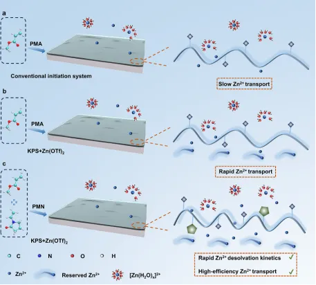Efficient Polymer Interfaces for Ultra-Stable Aqueous Zinc-Metal Anodes