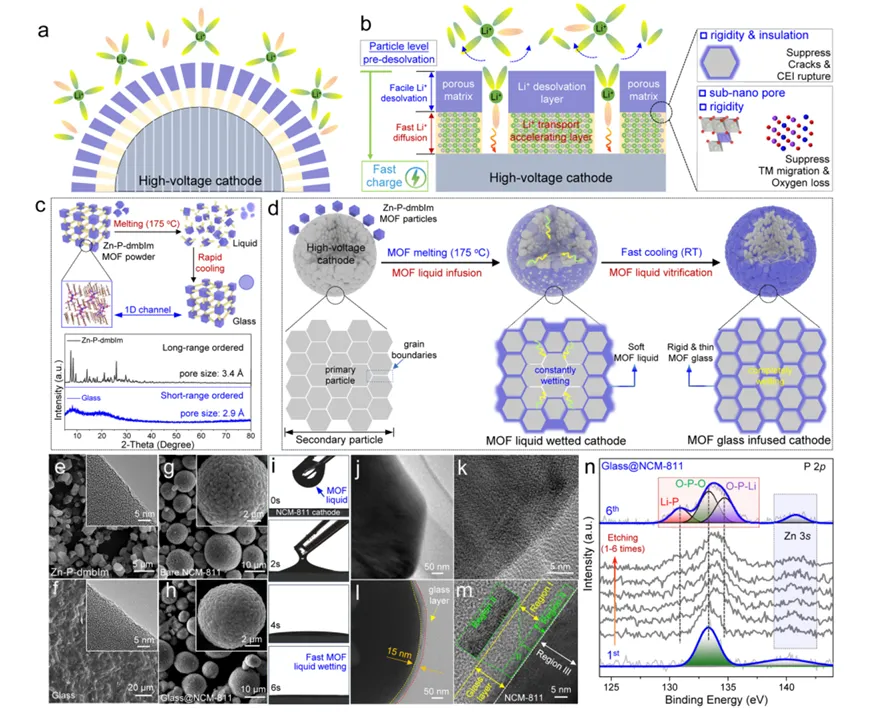 A new approach to improving the performance of high-voltage lithium metal batteries!