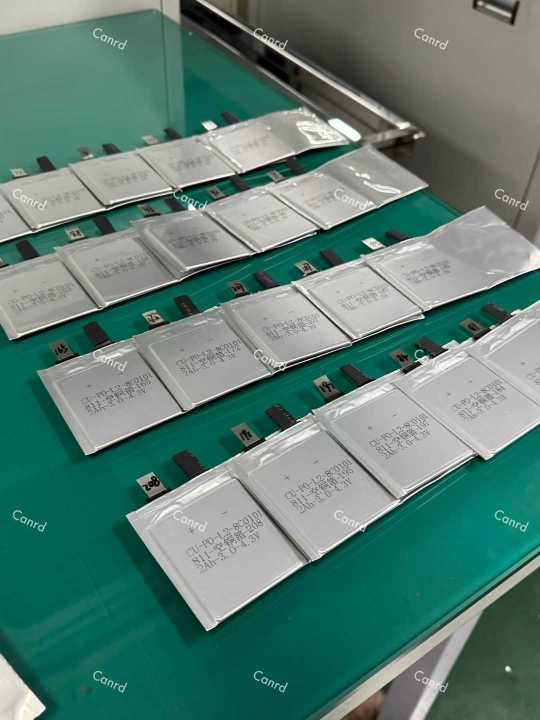 Lithium Battery Dry Cell - Standard Battery/Dry Cell/Pouch Cell