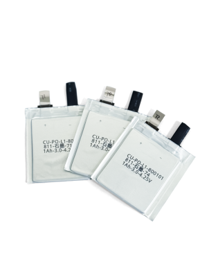 Lithium Battery Dry Cell - Standard Battery/Dry Cell/Pouch Cell/Prototype Cell