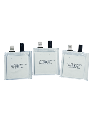 Sodium Battery Dry Cell - Standard Battery/Dry Cell/Pouch Cell