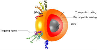Polyelectrolyte Coated Nanoparticle SPION: Properties, Preparation, and Applications