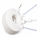 In-situ Raman Spectroelectrochemical Cell