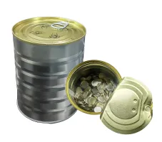 Lithium Chips