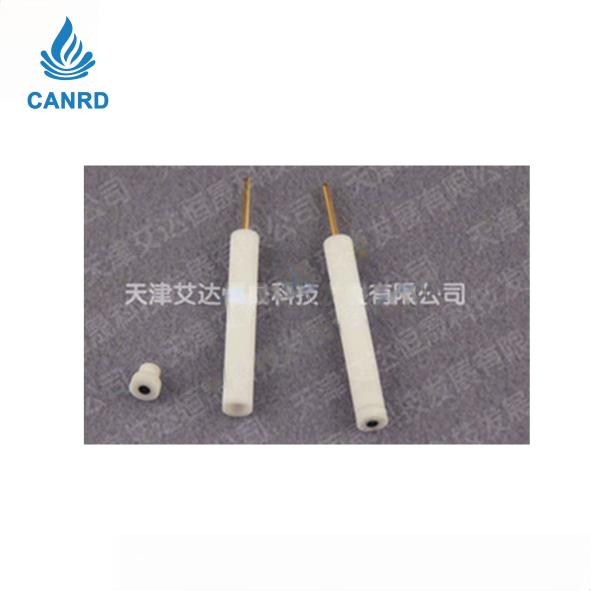 Dual-purpose electrode